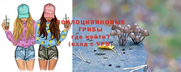 шишки Новокубанск