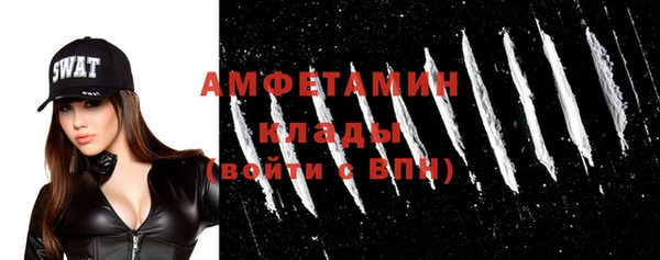 шишки Новокубанск