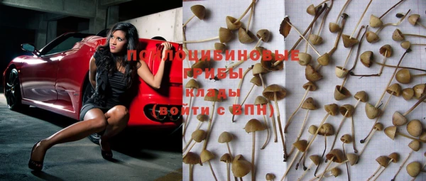 мдма Новодвинск