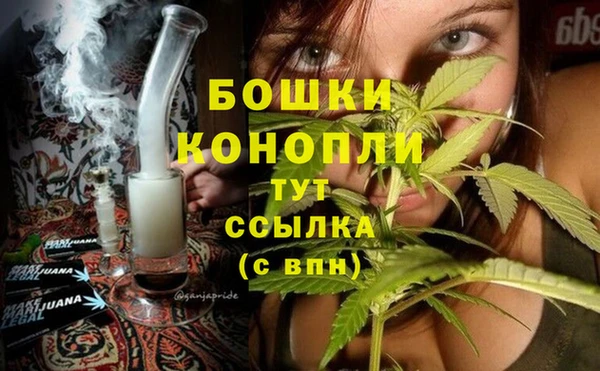 шишки Новокубанск