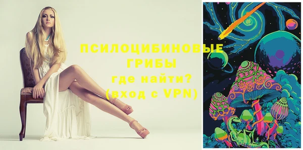 мдма Новодвинск