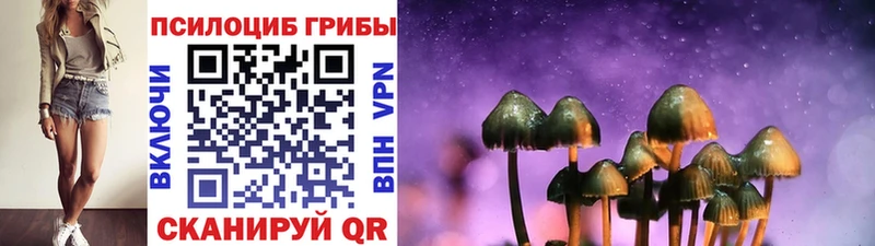 Галлюциногенные грибы ЛСД  darknet Telegram  hydra вход  Шуя  хочу  