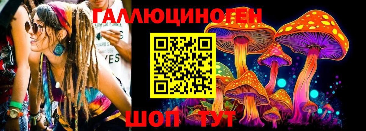 купить наркотики цена  Псилоцибиновые грибы MAGIC MUSHROOMS  Вход с VPN  Шуя 