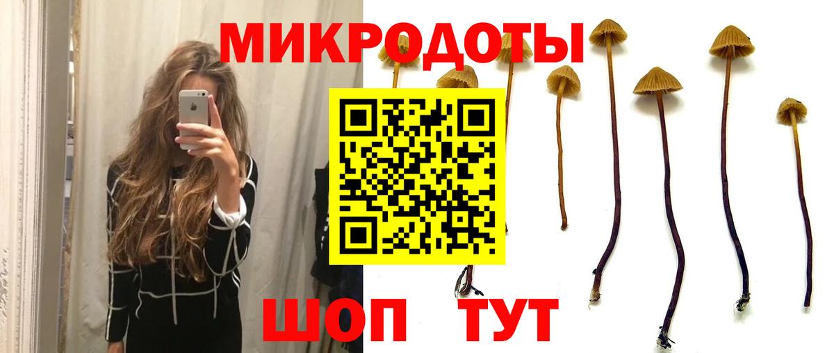 Псилоцибиновые грибы мухоморы  Шуя 