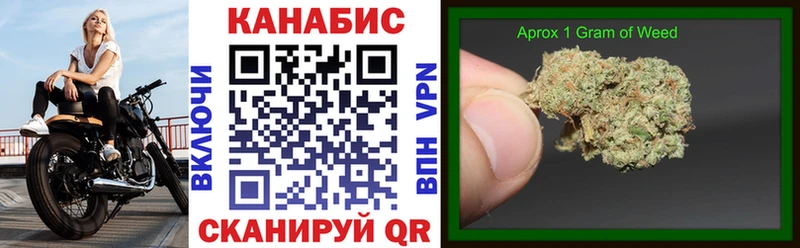 Каннабис ГИДРОПОН  дарнет шоп  Шуя 